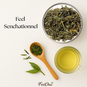 Thé vert Sencha Premium BIO - Senchationnel